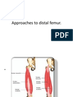 Approaches To Distal Femur