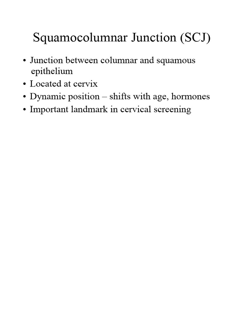 Cervical Anatomy Understanding | PDF