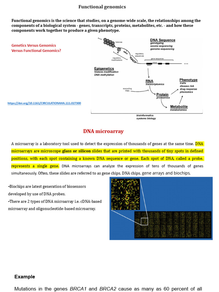 Lec4 (DNA Microarray) | PDF | Dna Microarray | Gene Expression