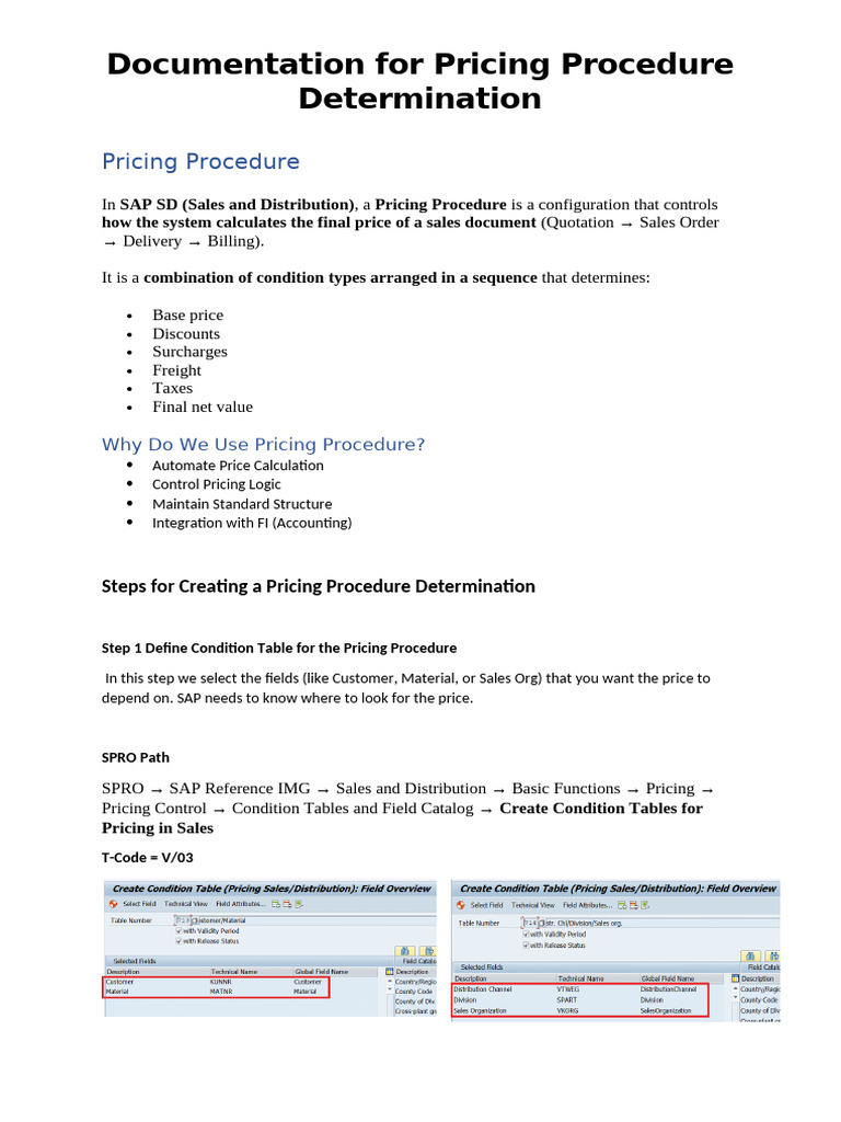 Documentation For Pricing Procedure1 | PDF | Pricing | Prices