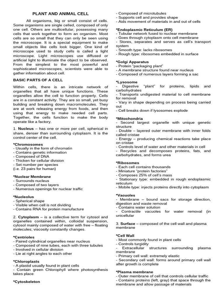 PLANT AND ANIMAL CELL | PDF | Cell (Biology) | Cell Membrane