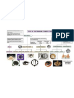 Tipos de Prótesis Valvulares Cardíacas