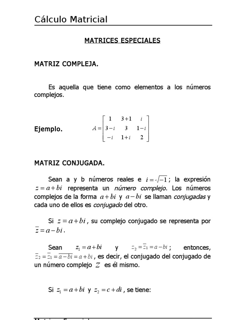 CÁLCULO MATRICIAL | PDF | Número complejo | Matriz (Matemáticas)