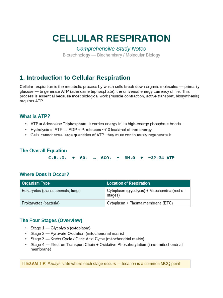Cellular Respiration Notes | PDF | Adenosine Triphosphate | Cellular ...