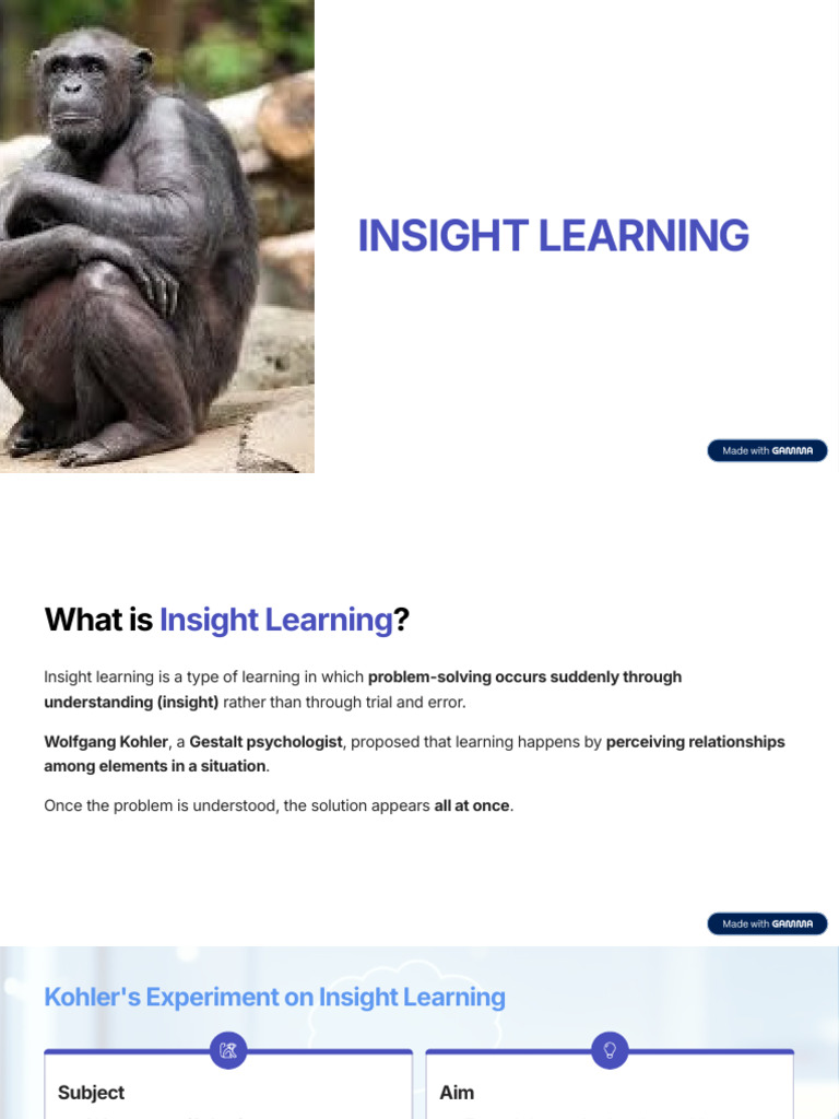 8. INSIGHT-LEARNING | PDF | Insight | Learning