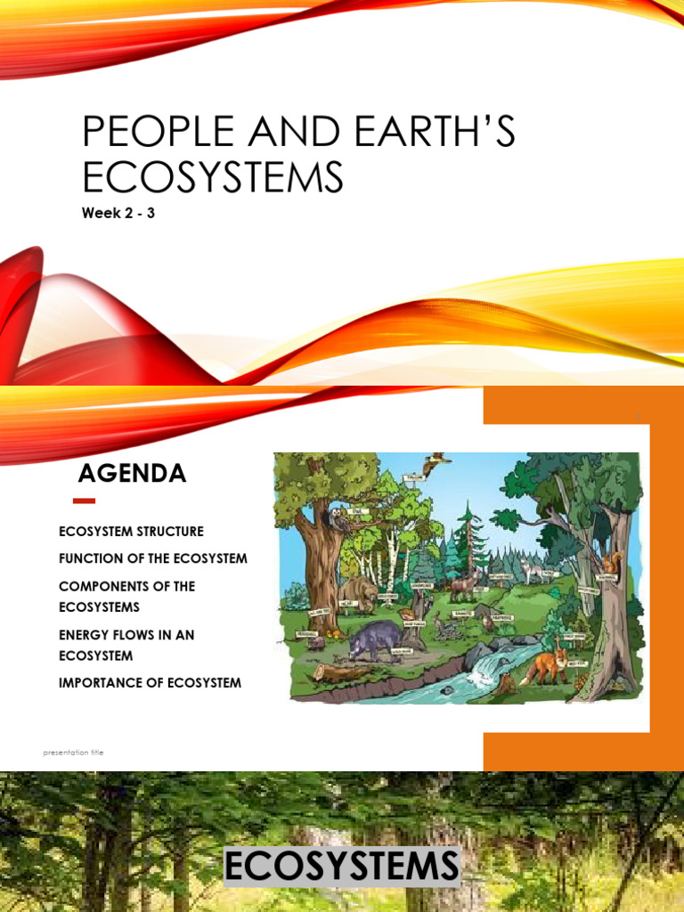 SC PEE Week 2 3 the Ecosystem Updated.pptx | PDF | Ecosystem | Food Web