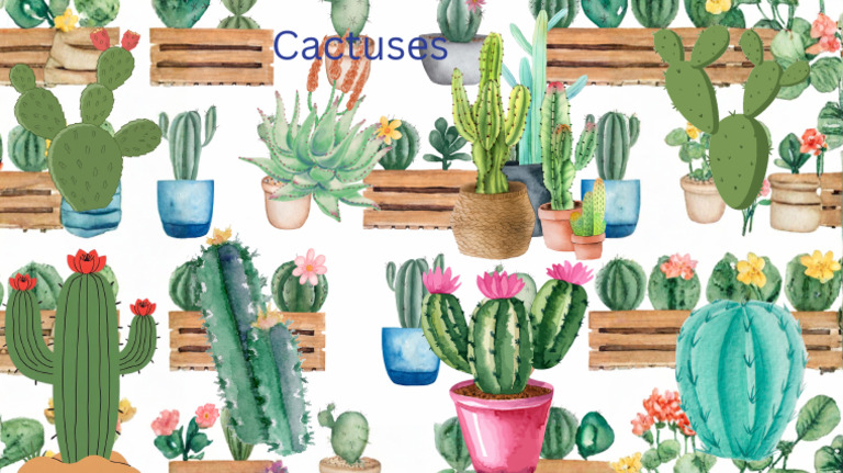 Cactuses | PDF
