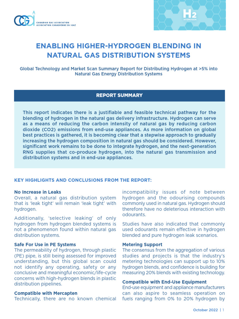 Hydrogen Document Report Summary | PDF | Natural Gas | Hydrogen