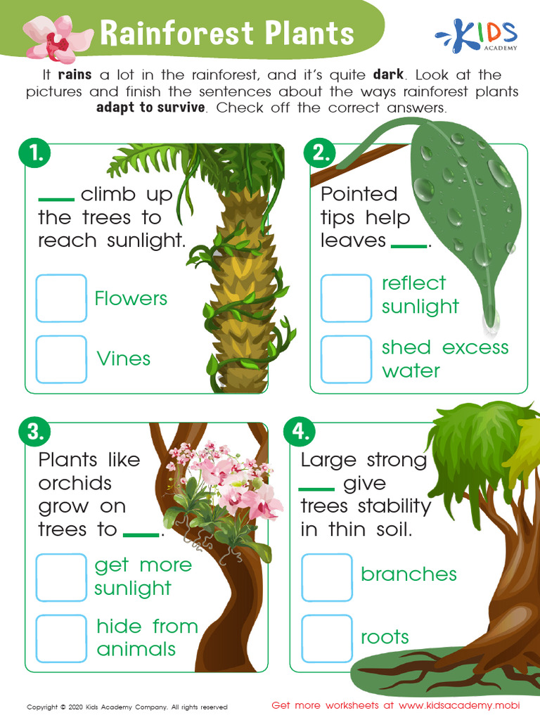 grade-1-rainforest-plants-worksheet-pdf-rainforest-plants