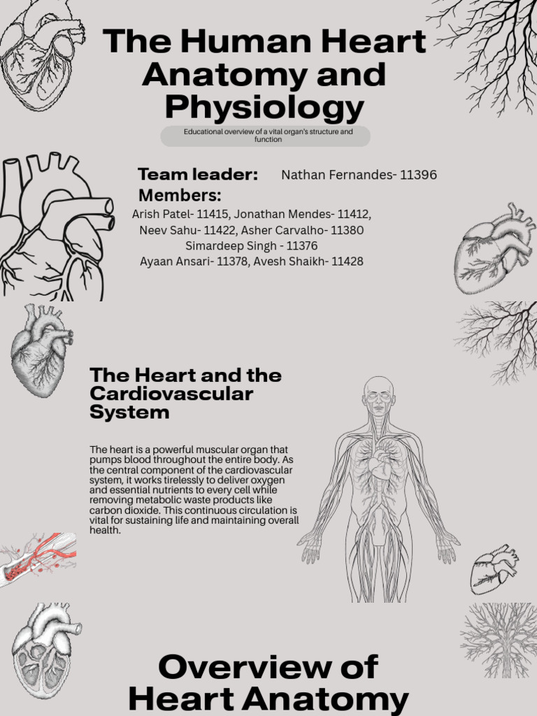 Heart | PDF | Heart | Ventricle (Heart)