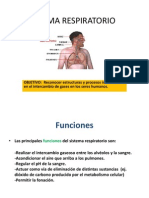 Sistema Respiratorio