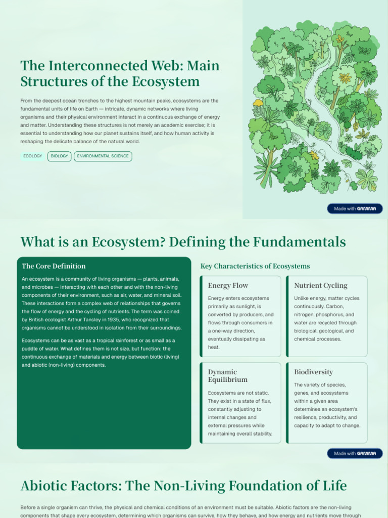 The Interconnected Web Main Structures of the Ecosystem | PDF ...