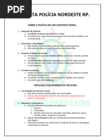 Manual de Conduta da Polícia no GTA RP | PDF | Polícia | Jogos de RPG