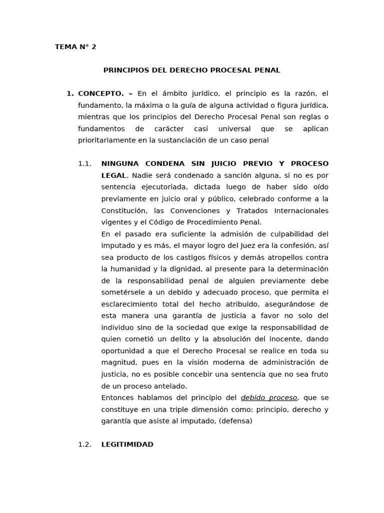 Principios Del Derecho Procesal | PDF | Ley procesal | Debido al proceso