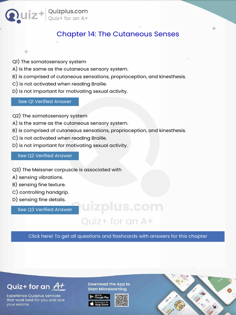 The Somatosensory System | PDF | Perception | Somatosensory System