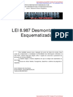 Lei 8.987 Desmontado PDF