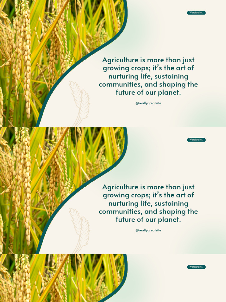 Green and Yellow Gradient Modern Rice Field Ecosystems Presentation | PDF