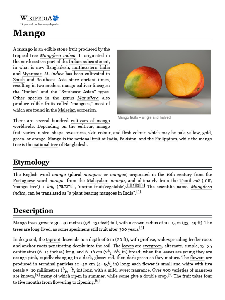 Mango | PDF