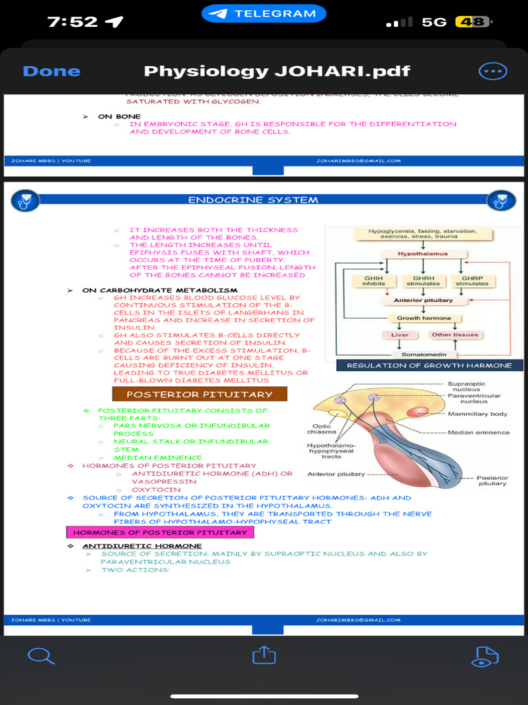 IMG_8388 | PDF