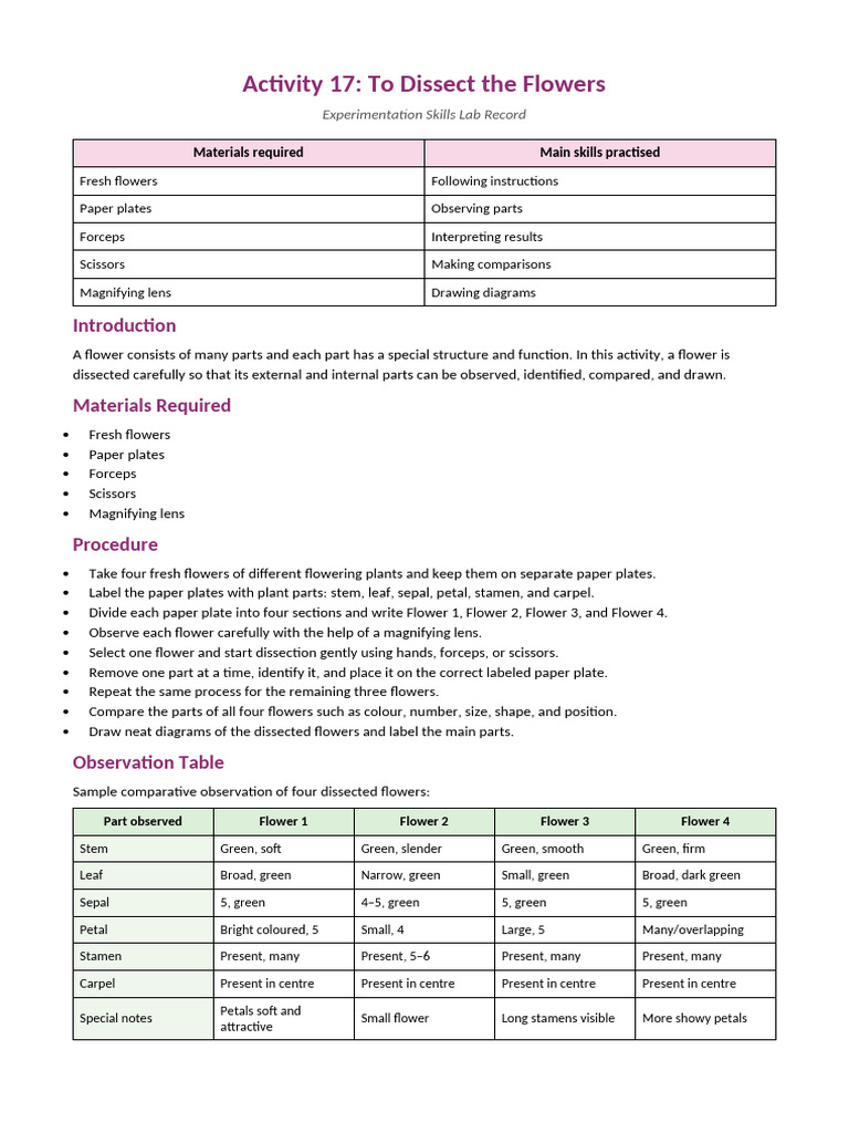 Activity 17 to Dissect the Flowers | PDF | Flowers | Petal