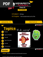 A Level Chloroplast Structure Diagram | PDF | Chloroplast | Cell (Biology)
