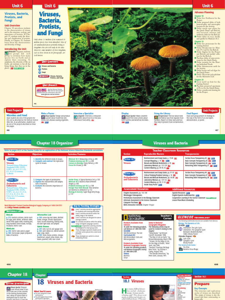 Bacteria and virus | PDF | Virus | Bacteria