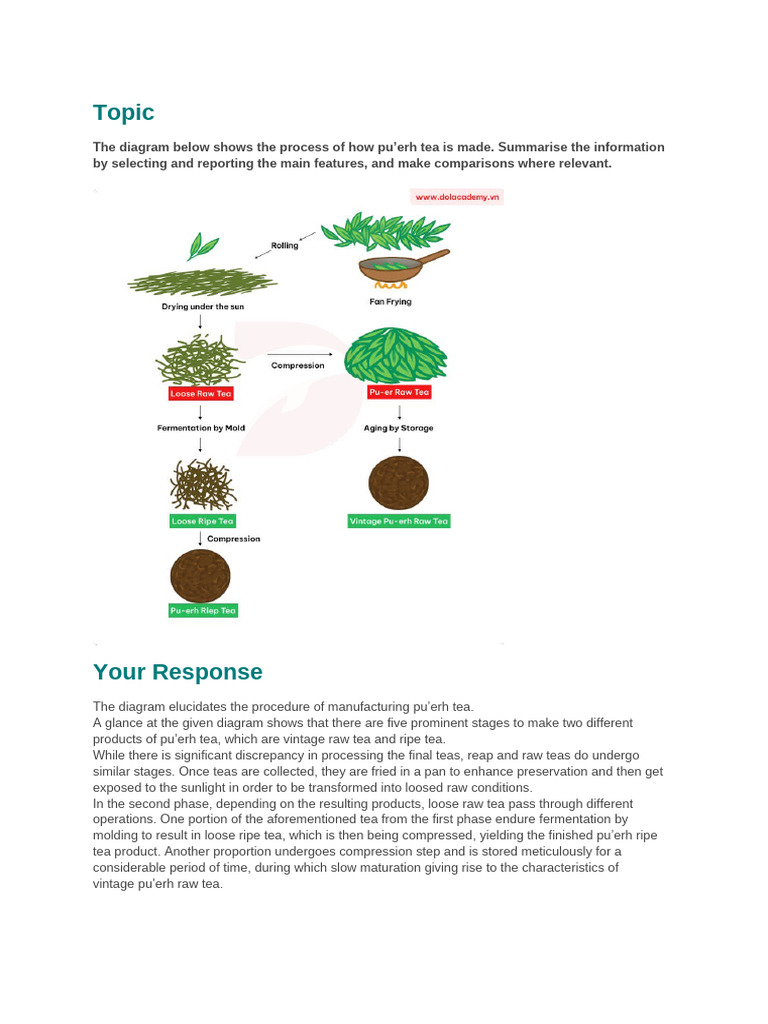 Process-7.0 (3) | PDF | Tea | Leaf