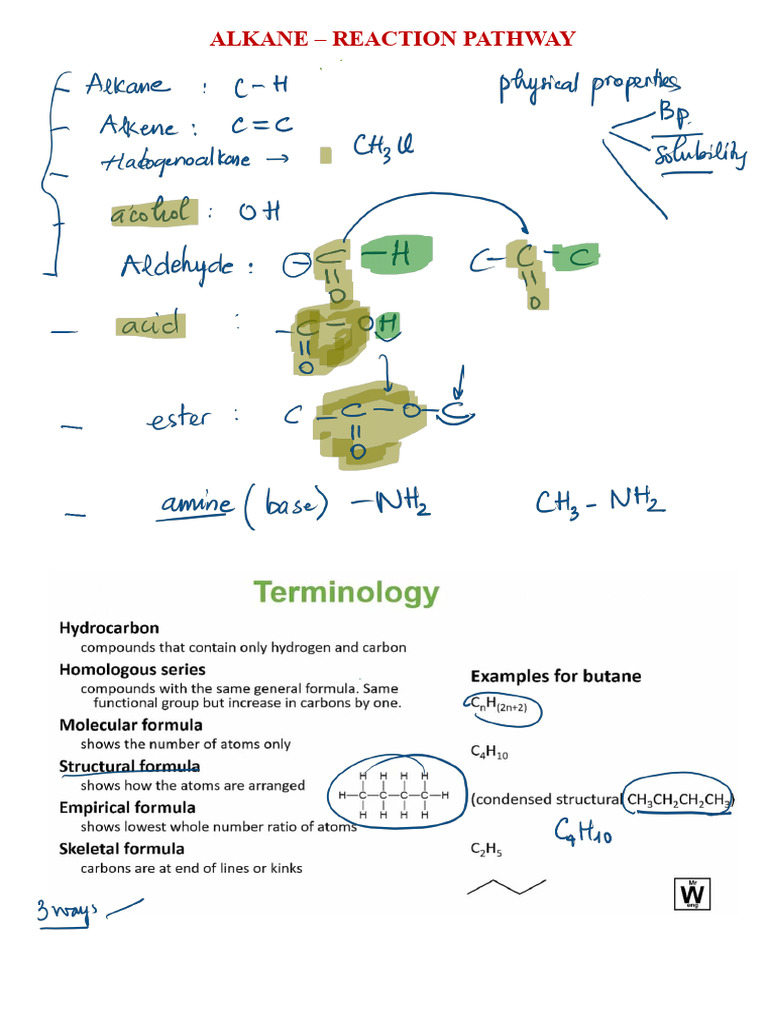Reaction Pathway of Alkane | PDF