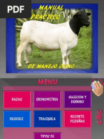 Download Diapositivas Manual Ovino by German Dario Gomez Amaya SN103402925 doc pdf