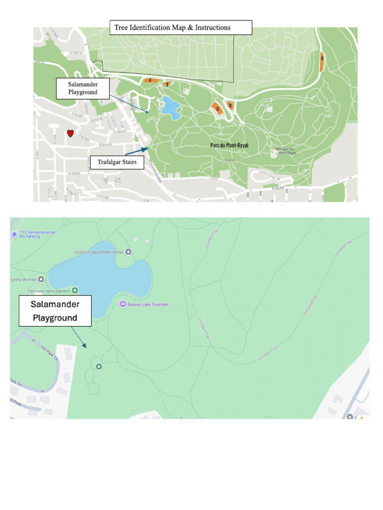 Tree Identification Map | PDF