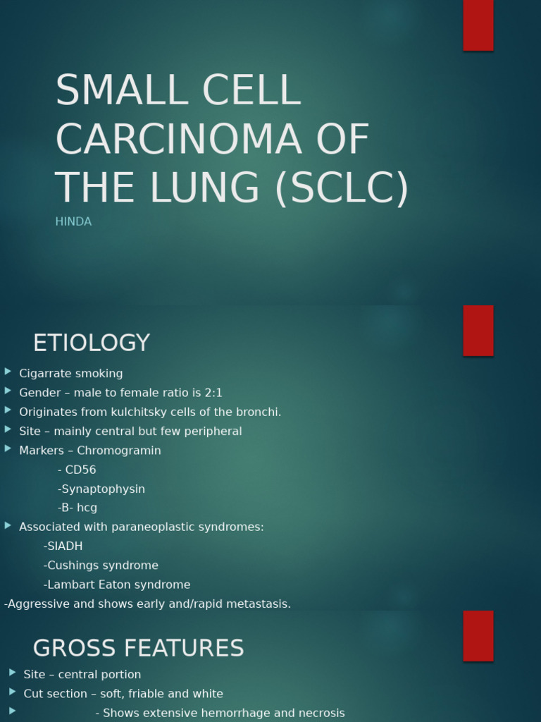 Small Cell Carcinoma of the Lung | PDF