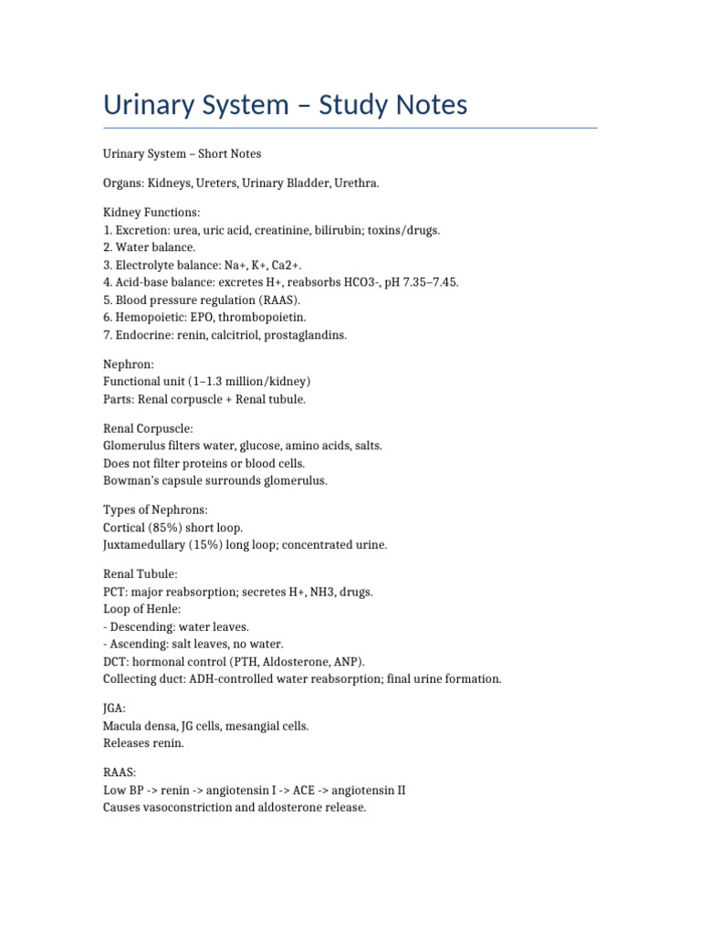 Urinary System Study Notes | PDF