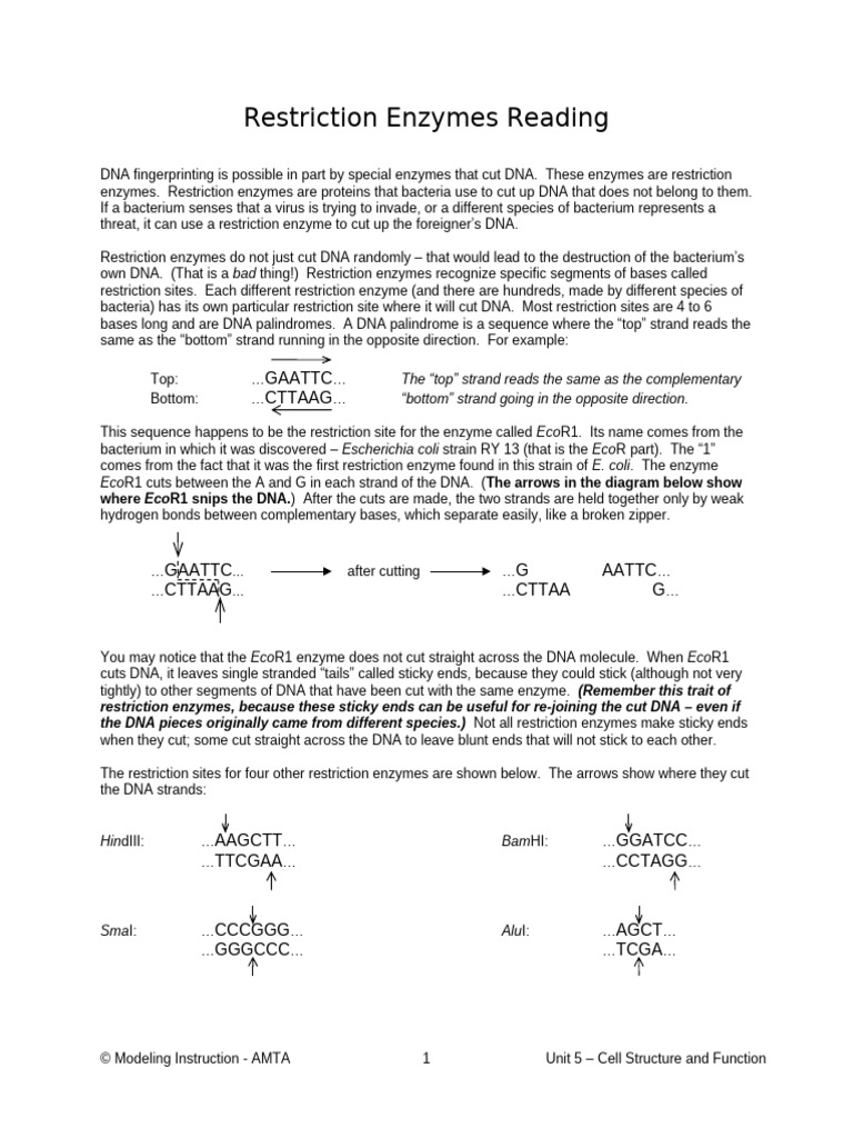 Restriction Enzymes Reading | PDF | Restriction Enzyme | Dna