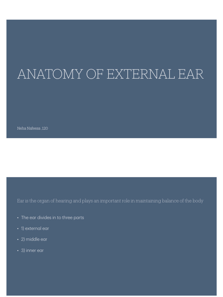 Anatomy of External Ear | PDF | Ear | Acoustics