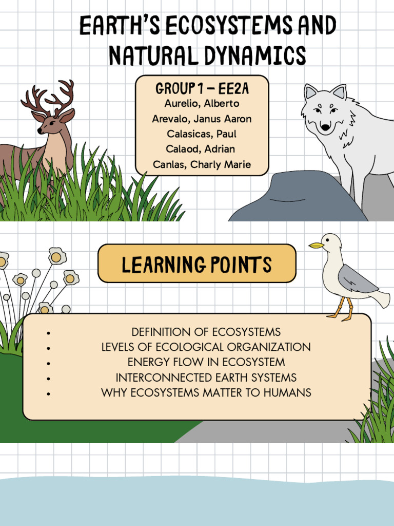 Earth’s Ecosystems and Natural Dynamics - EE2A | PDF | Ecosystem | Food Web