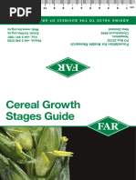 Understanding the Zadoks Growth Scale | PDF | Plant Morphology | Plant ...