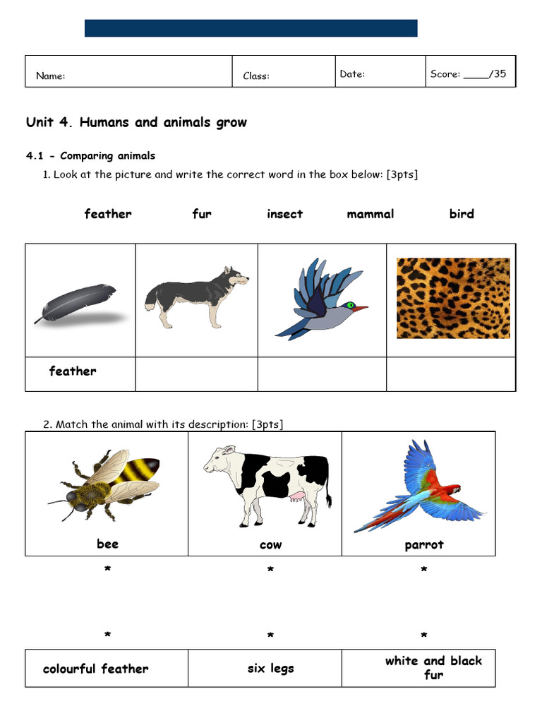 Unit 4 - Practice Test 2 (1) | PDF | Tooth | Zoology