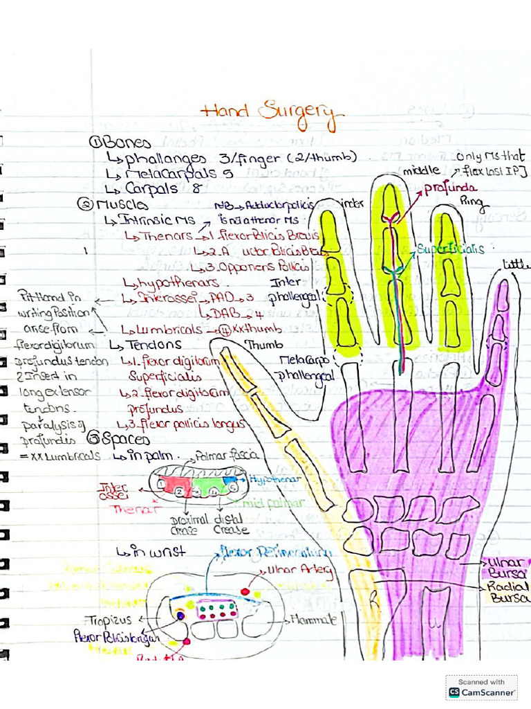 Hand Surgery - PDF 2 | PDF
