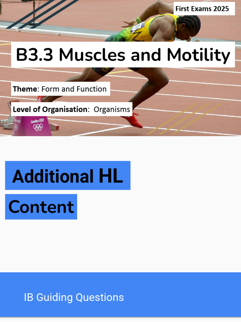 B3.3 Muscles and Motility (HL Only) | PDF | Muscle Contraction | Motor ...
