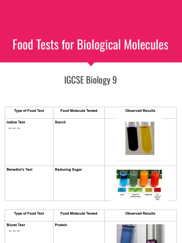 2.2b. Food Tests for Biological Molecules | PDF