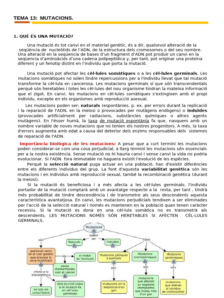 APUNTS TEMA 13: MUTACIONS | PDF