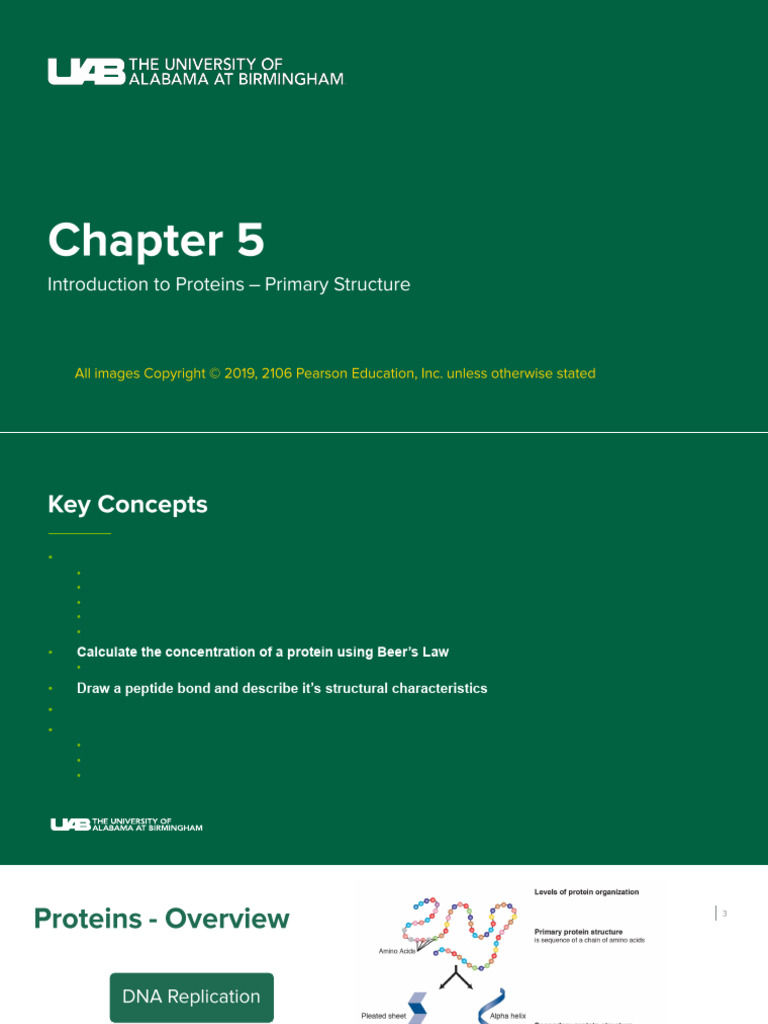 CH460+Chapter+5+Students | PDF | Amino Acid | Ion