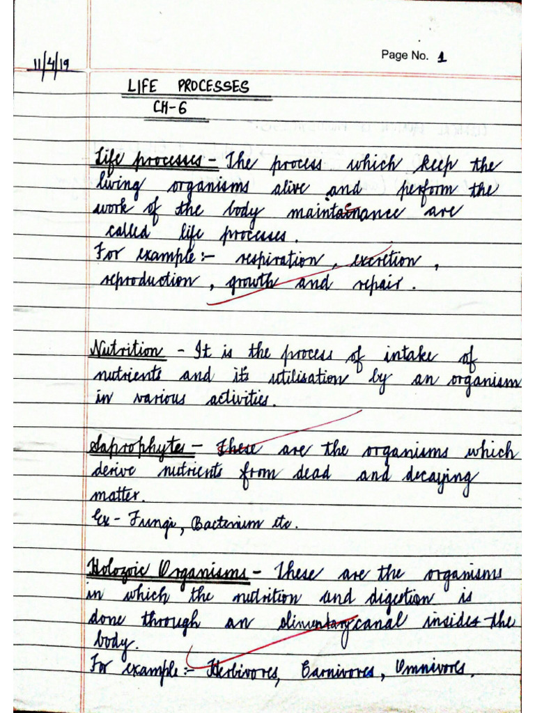 LIFE PROCESSES noteshhdgaggsy | PDF