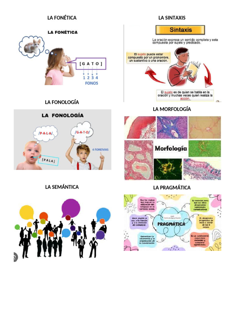 La Fonética | PDF