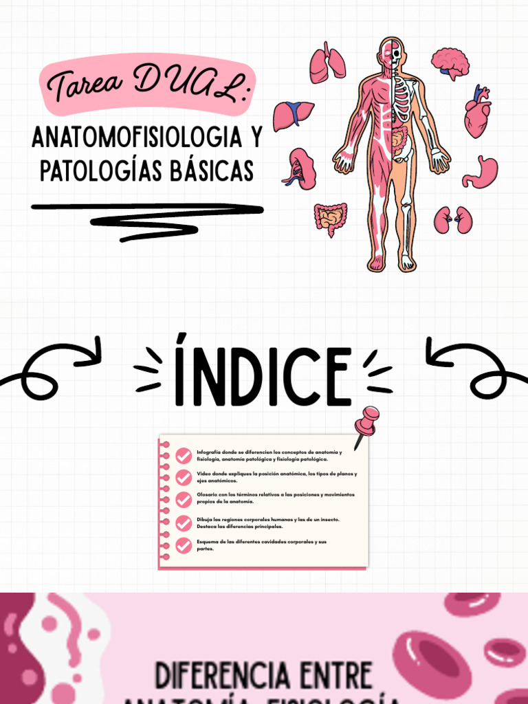 Presentación Sistemas del Cuerpo Humano Anatomía Ilustrado Rosa | PDF ...