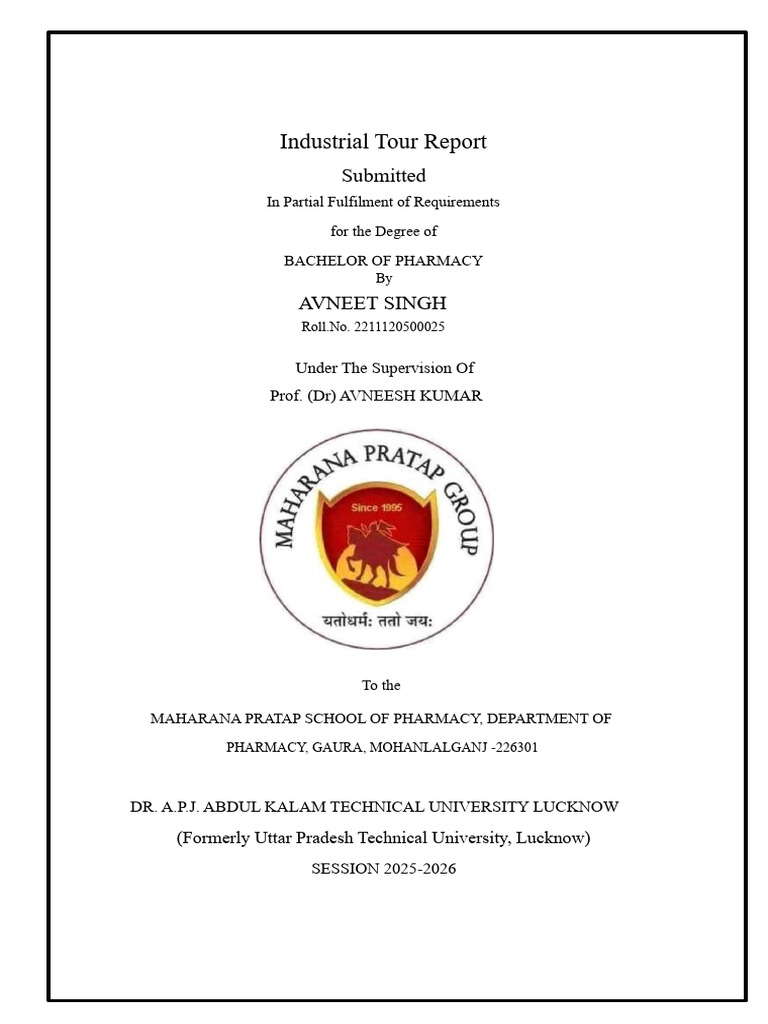 edited_avneet_report | PDF
