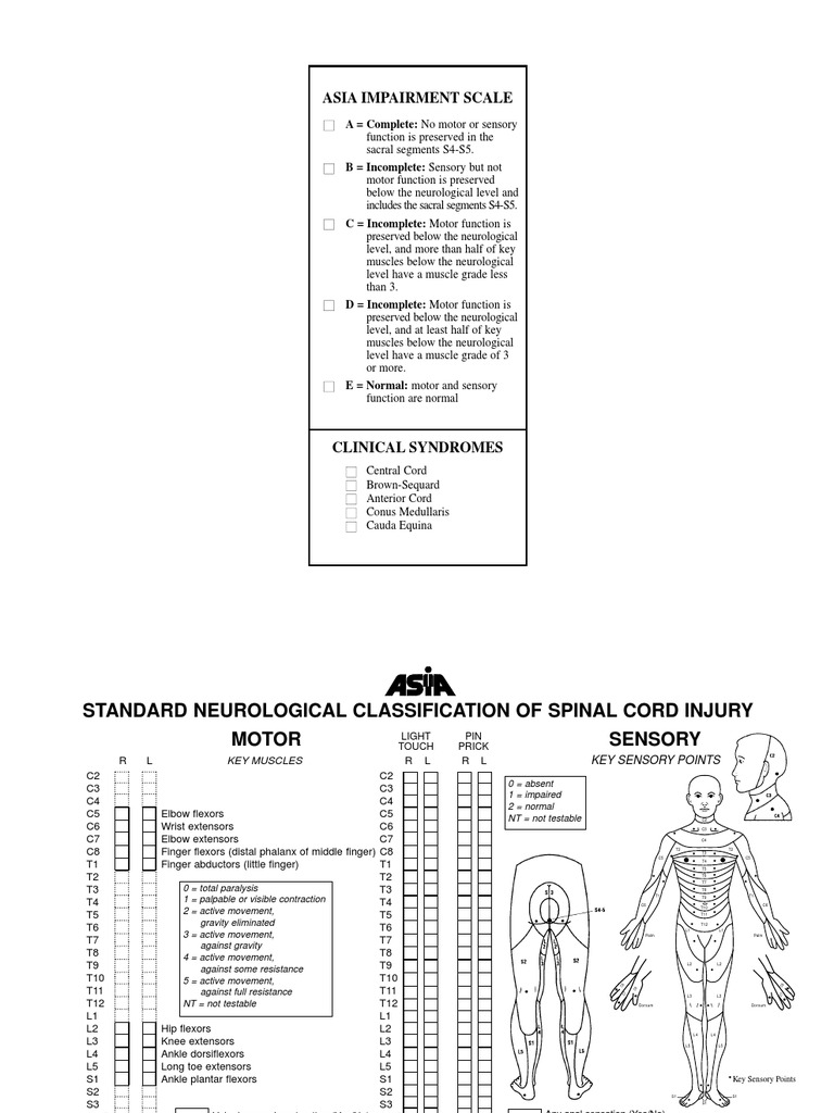 Spinal Cord Injury (2001 ASIA Classification Form) | PDF