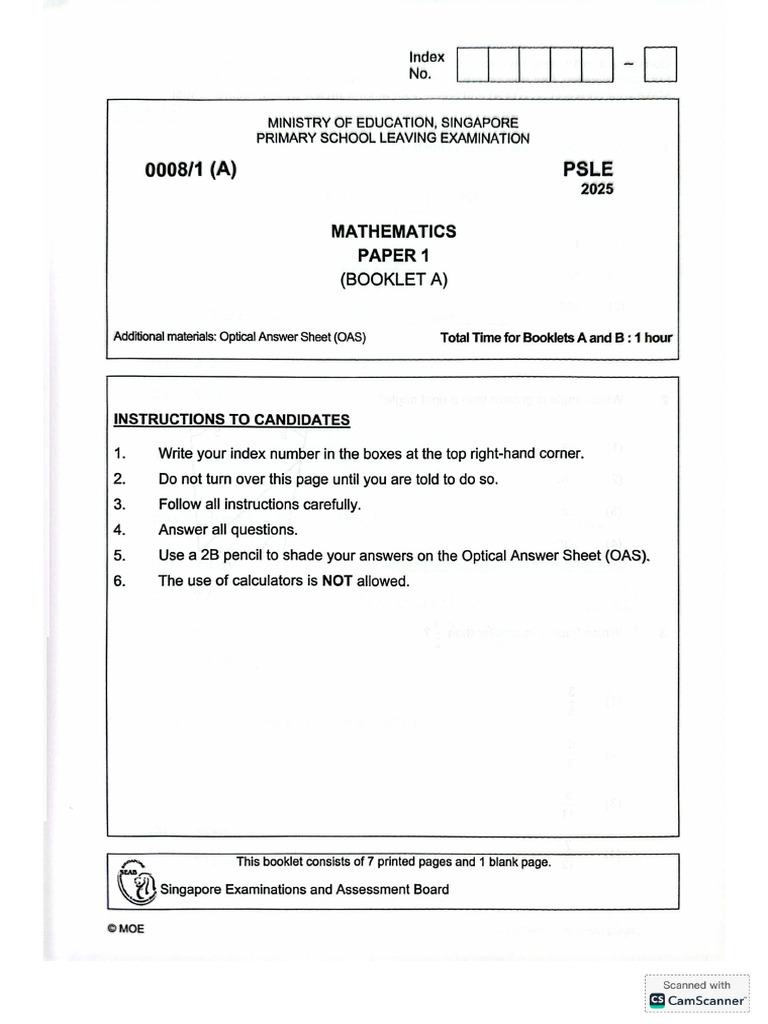 Psle Math 2025 | PDF