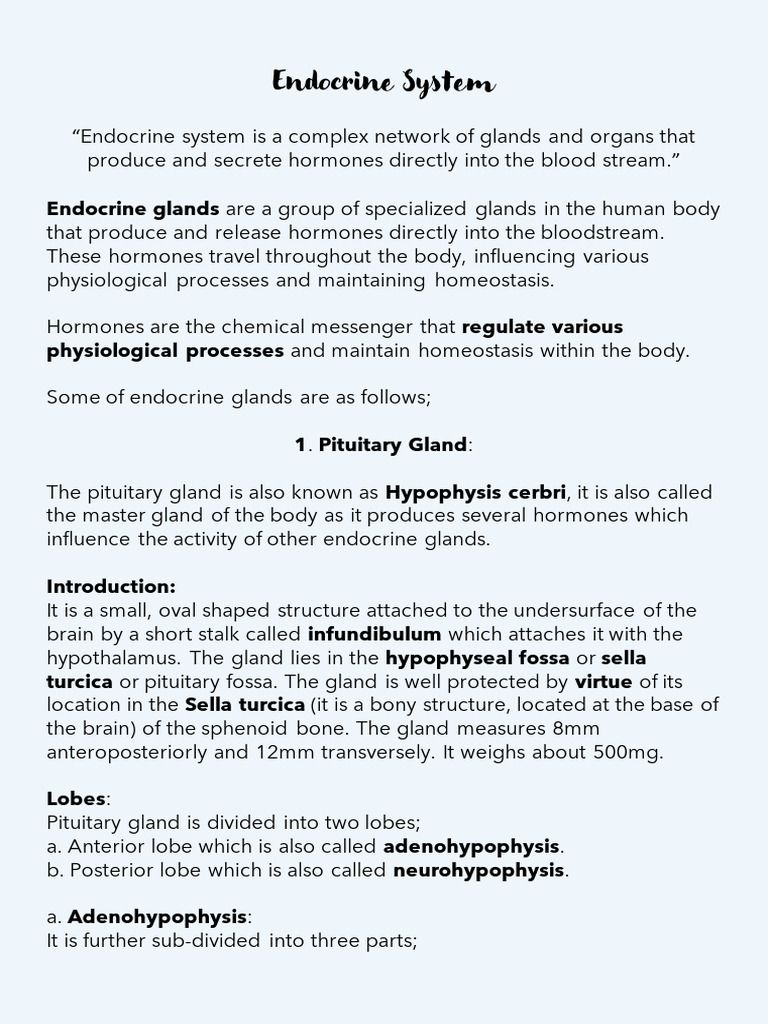 Endocrine System | PDF | Adrenal Gland | Thyroid