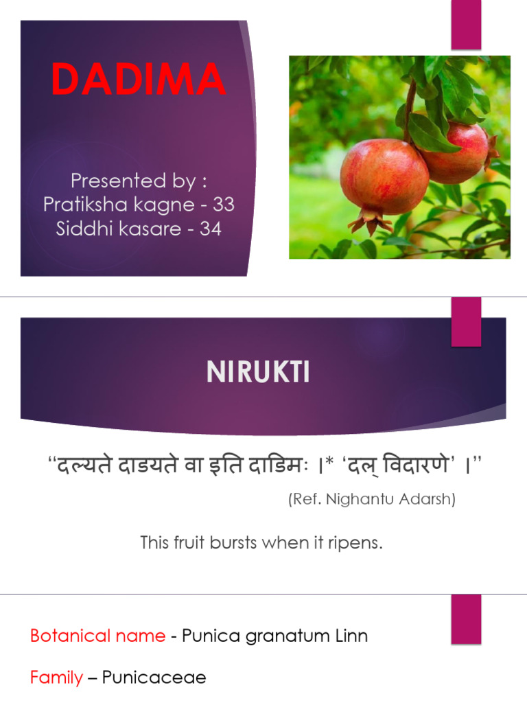 DADIMA final ppt | PDF | Pomegranate
